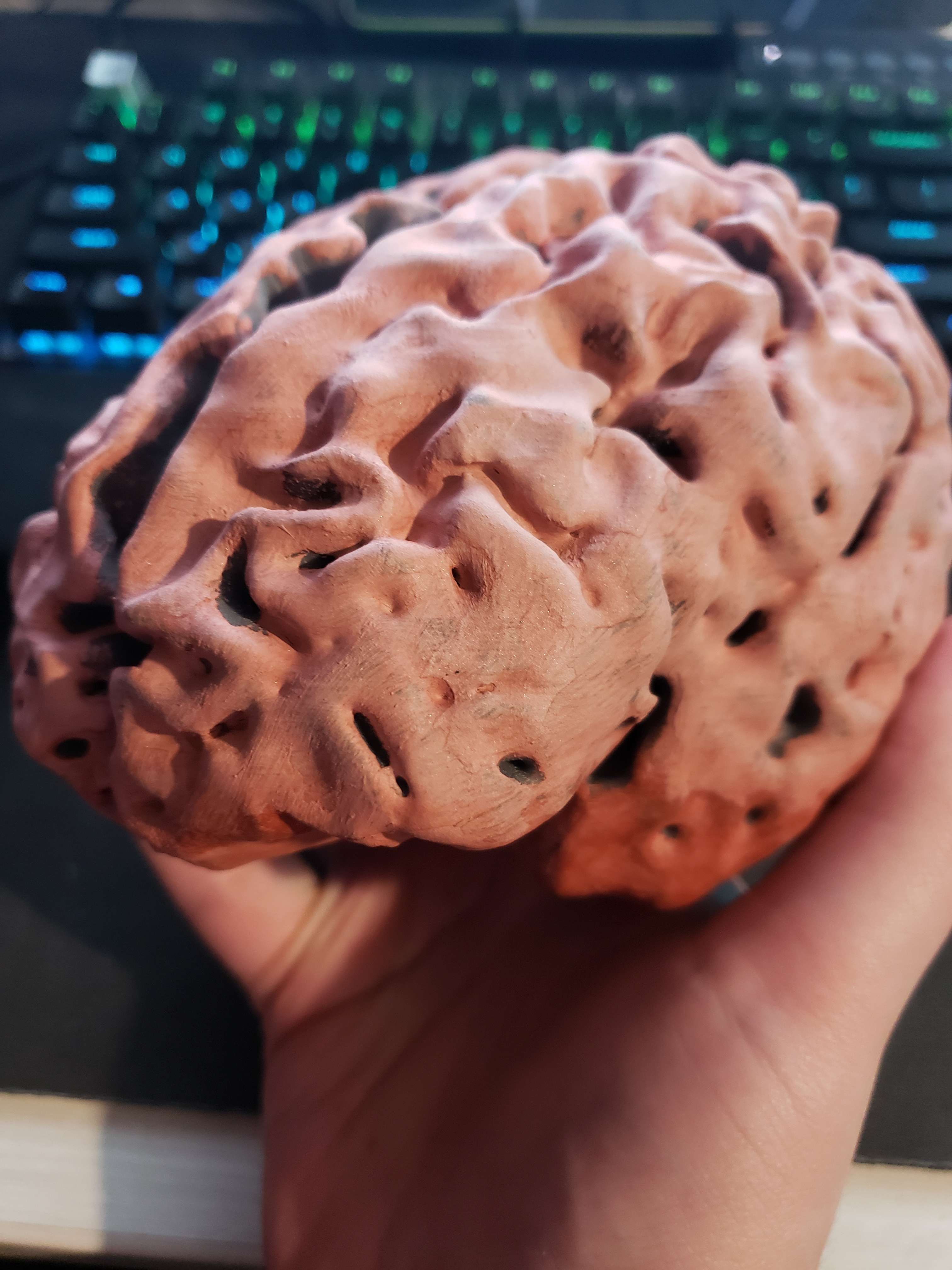 How I made an Intellect Devourer using my own Brain